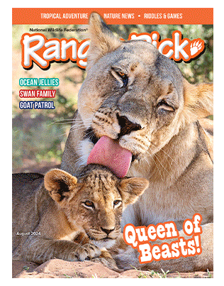 NWF covers