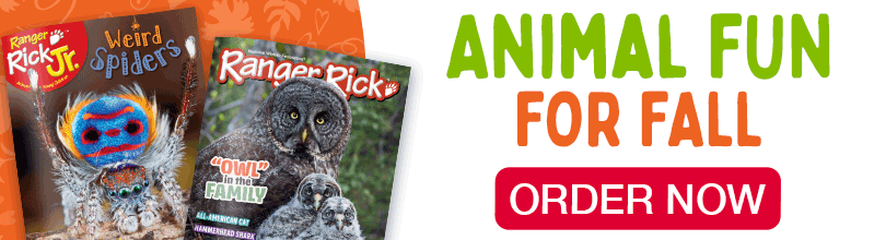 ANIMAL FUN FOR FALL ORDER NOW