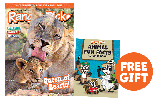 NWF covers